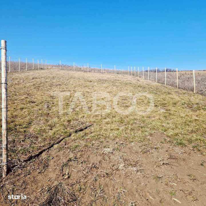 Teren de vanzare intravilan priveliste deosebita 508 mp Sura Mare - Imagine principală: 2/2