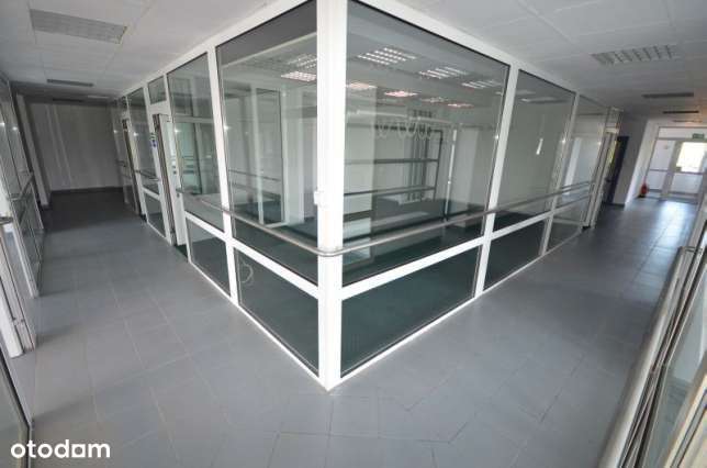 Wynajmę powierzchnie magazynowo-produkcjyne - Pełny obrazek: 4/7