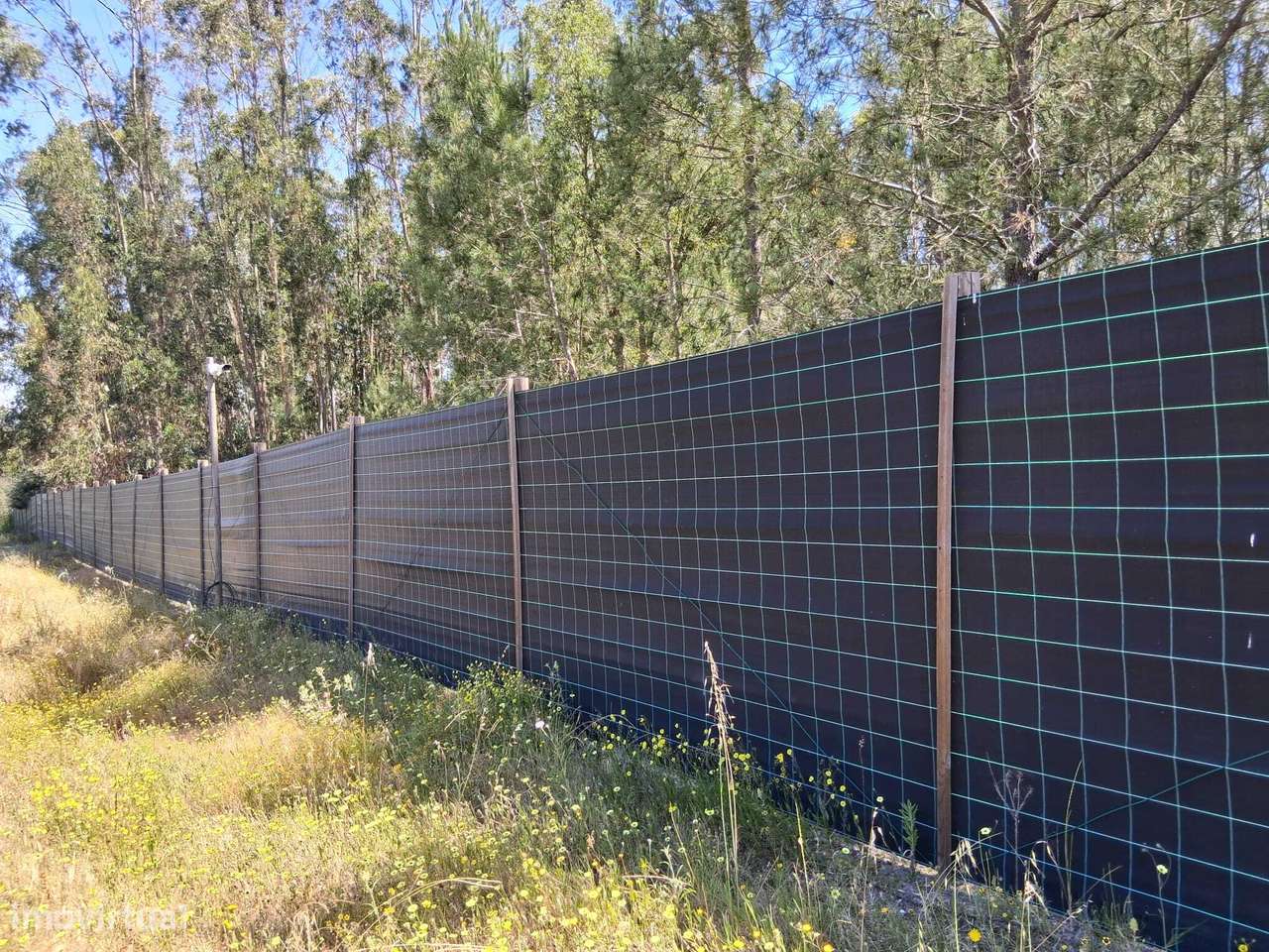 Quinta  5hct Rústica / Urbana com Potencial Único -  Branca - Coruche-7