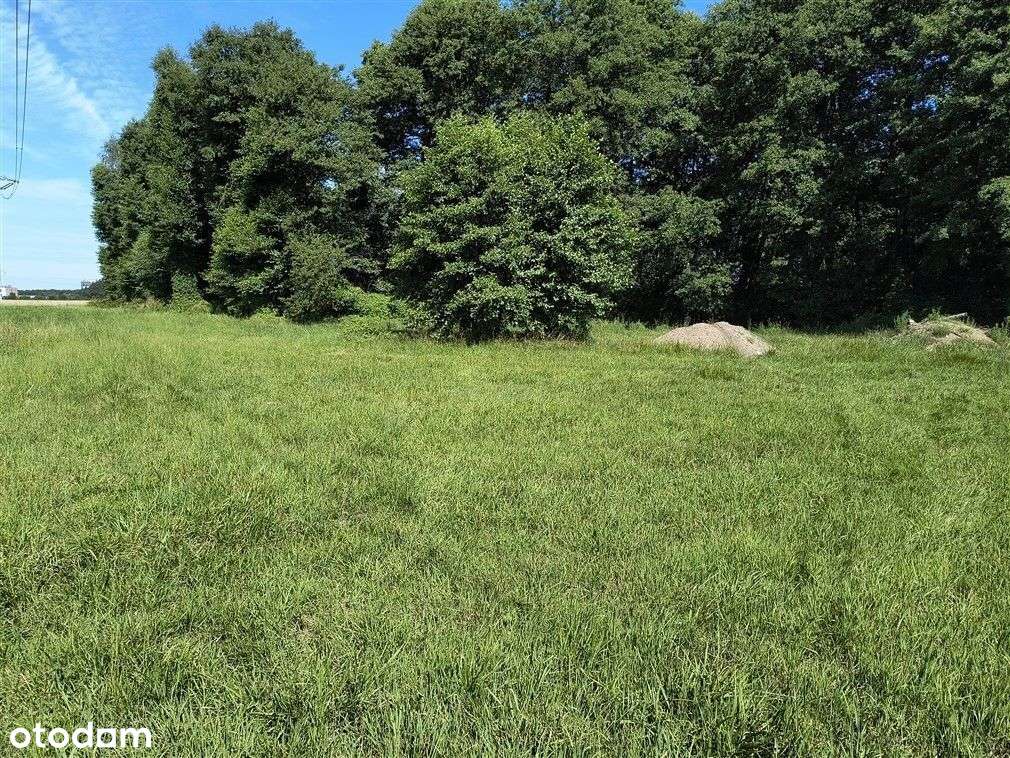 Działka/przemysł na sprzedaż - Pełny obrazek: 5/11