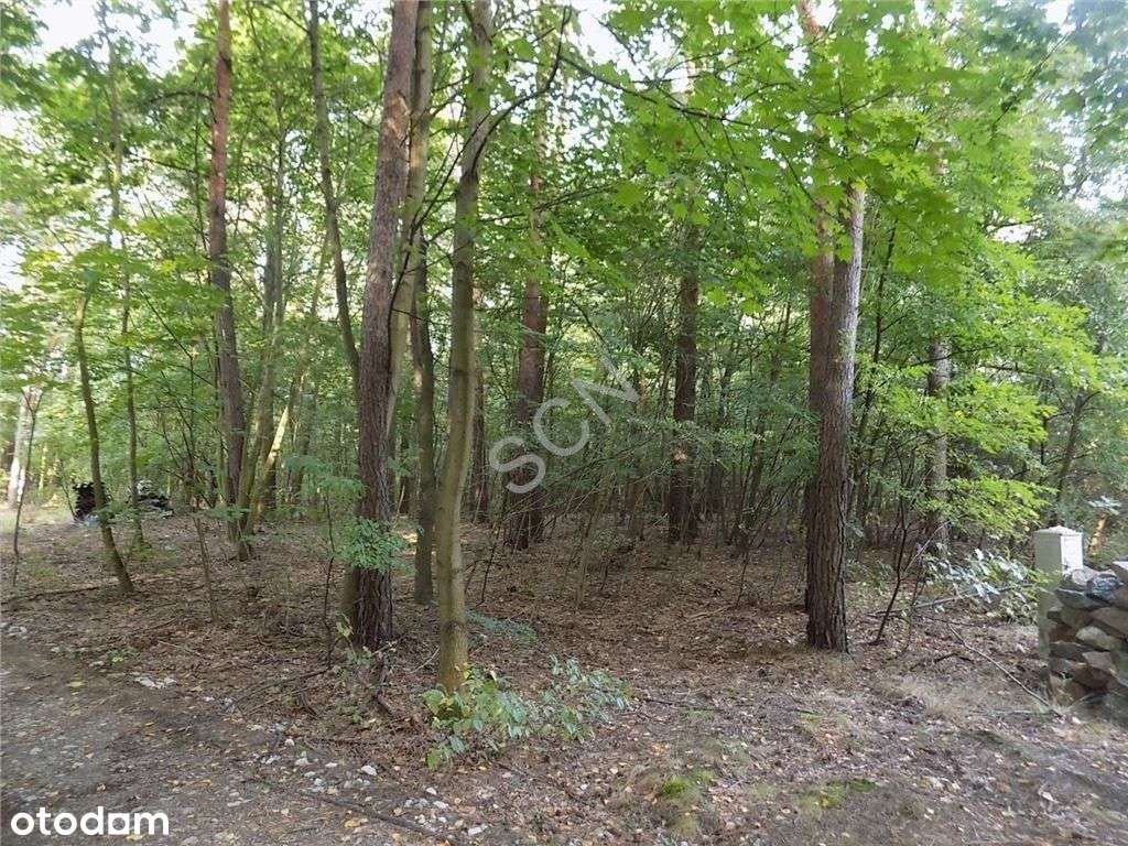 Niezwykłe Miejsce - Oaza ciszy i spokoju-0