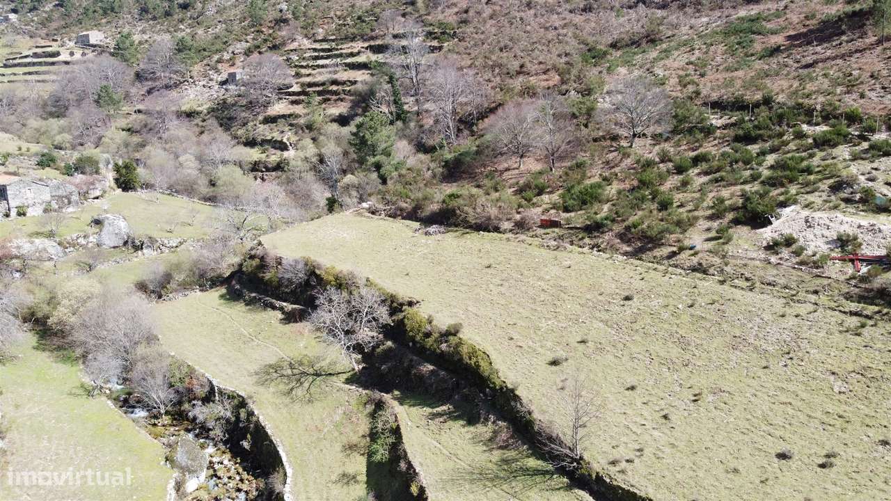 Quinta T0 Venda em Loriga,Seia-7