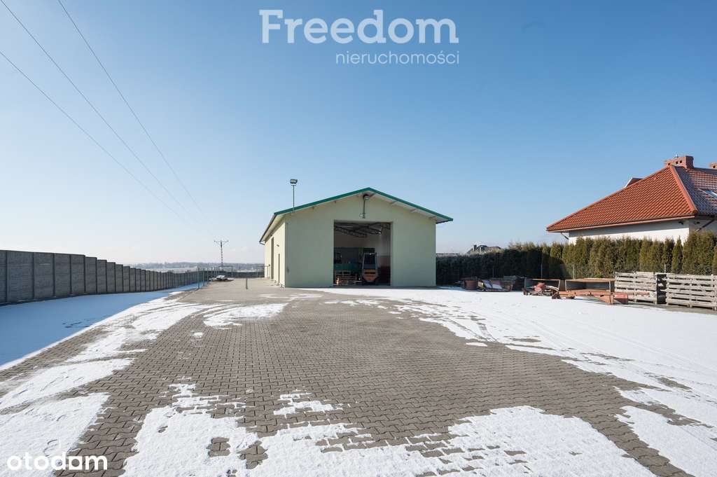Hala magazynowa z rampą i placem - Miechów - Pełny obrazek: 4/8