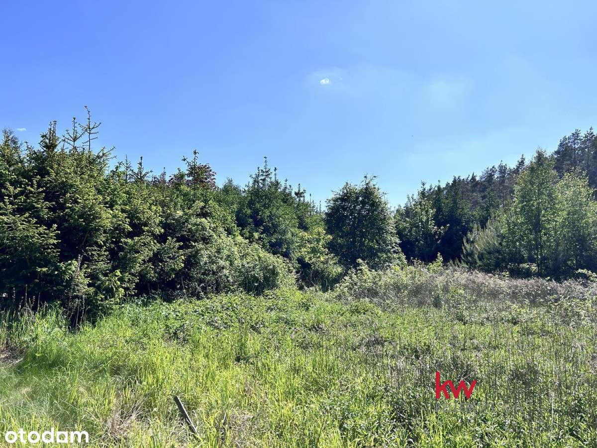 Przepiękna działka w sąsiedztwie lasu - Pełny obrazek: 5/5