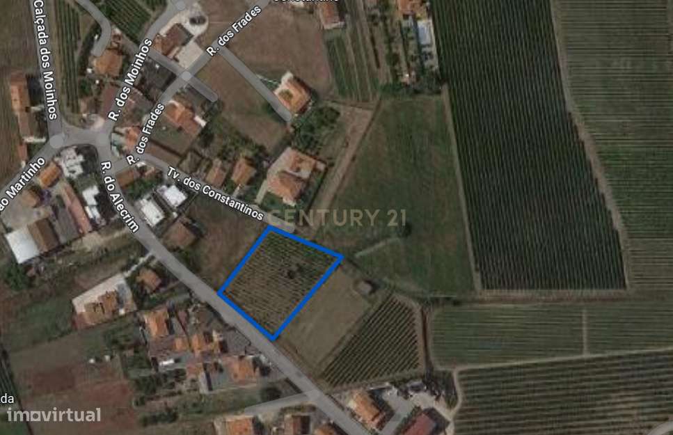 Terreno para construção - Ventosa, Torres Vedras - Grande imagem: 3/9