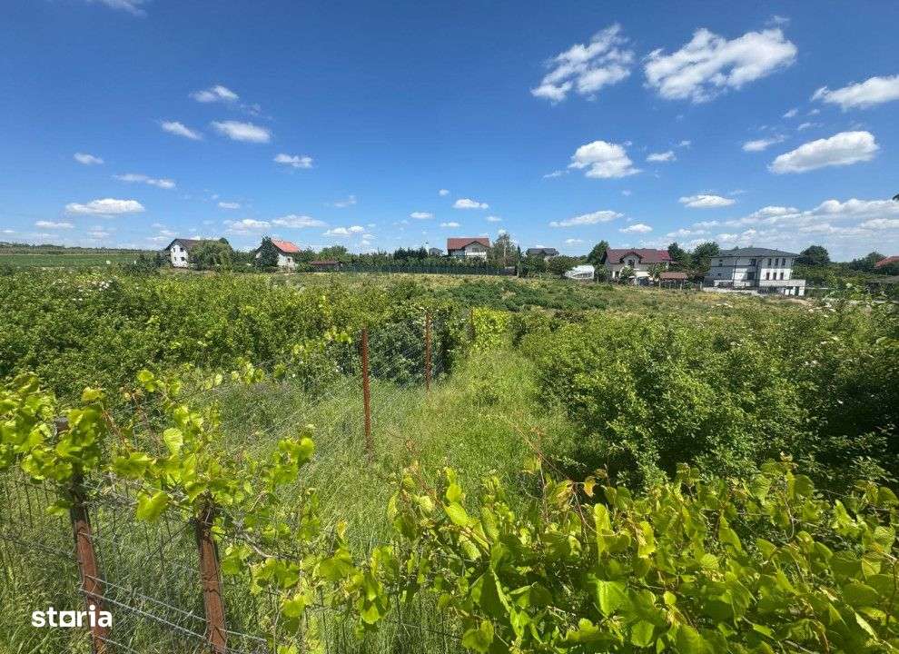 Teren intravilan Copou , 671 metri Cod:158590 - Imagine principală: 5/6