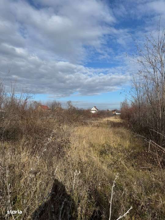 Comision 0 - Teren intravilan Prundu - Bananai - 2939 mp - Imagine principală: 3/3