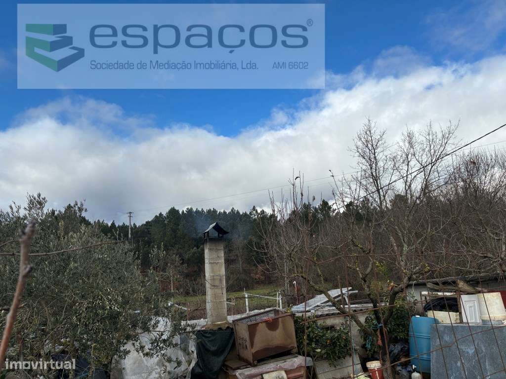 Magnifica Quinta a confinar com Rio Zêzere-26