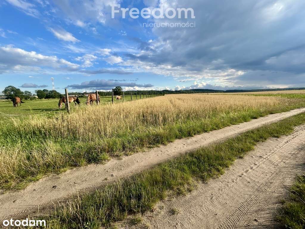 Działka Napiwoda Mazury Nidzica 7km - Pełny obrazek: 5/20