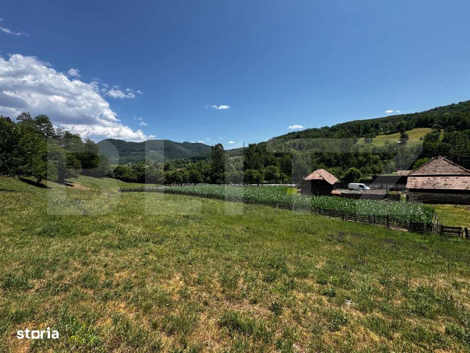 Casa cu 6000 mp teren, Poiana Ampoiului - Metes - Imagine principală: 5/9