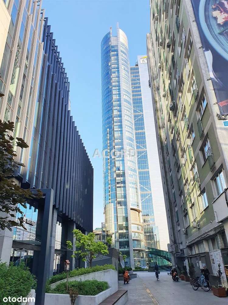 27,4m2 *14 piętro-16