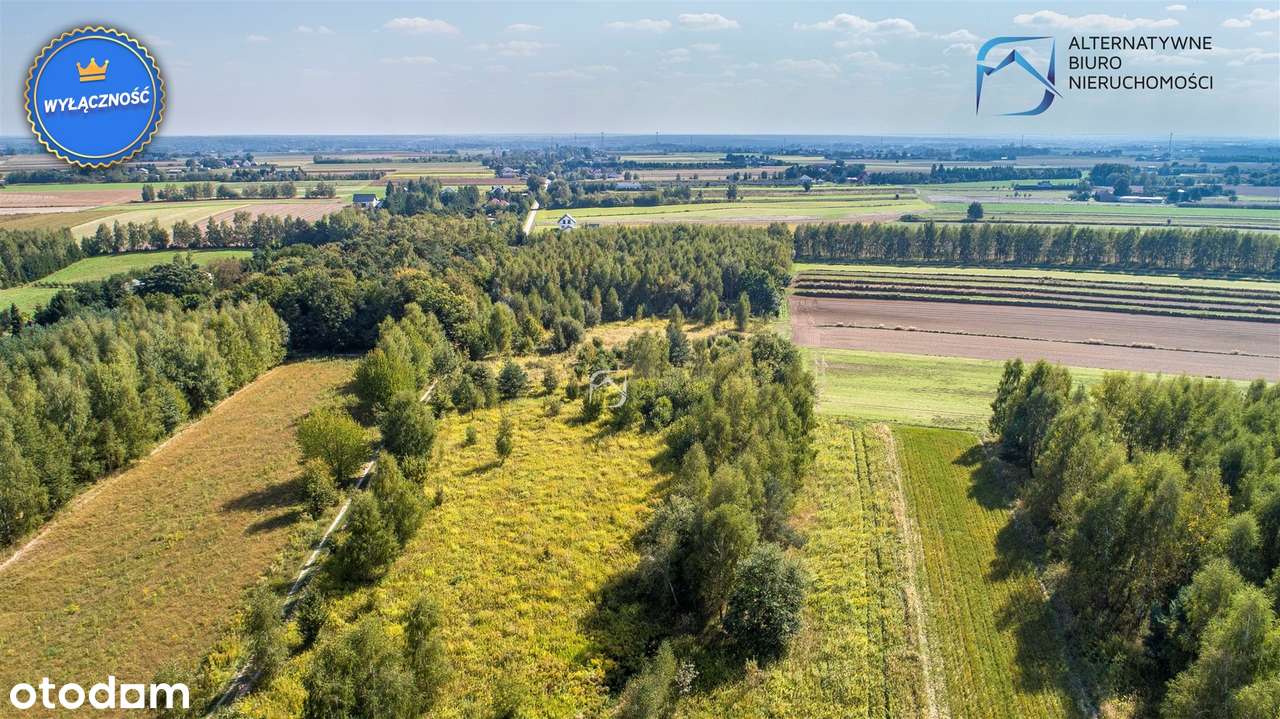 Działka budowlana Gm. Niemce m. Swoboda - Pełny obrazek: 5/19