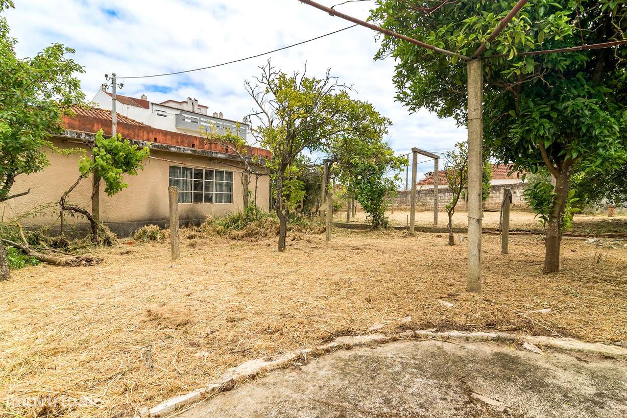 Moradia T3 com Terreno de 2.270m² no Centro do Entroncamento-23