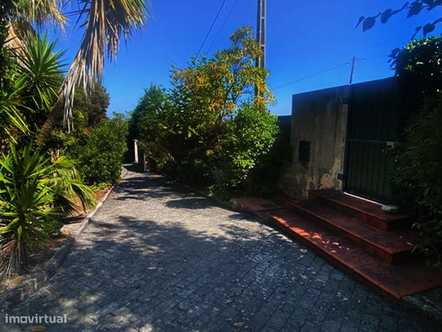 Moradia T5 grande propriedade, pleno campo, arredores Caldas da Rainha-7