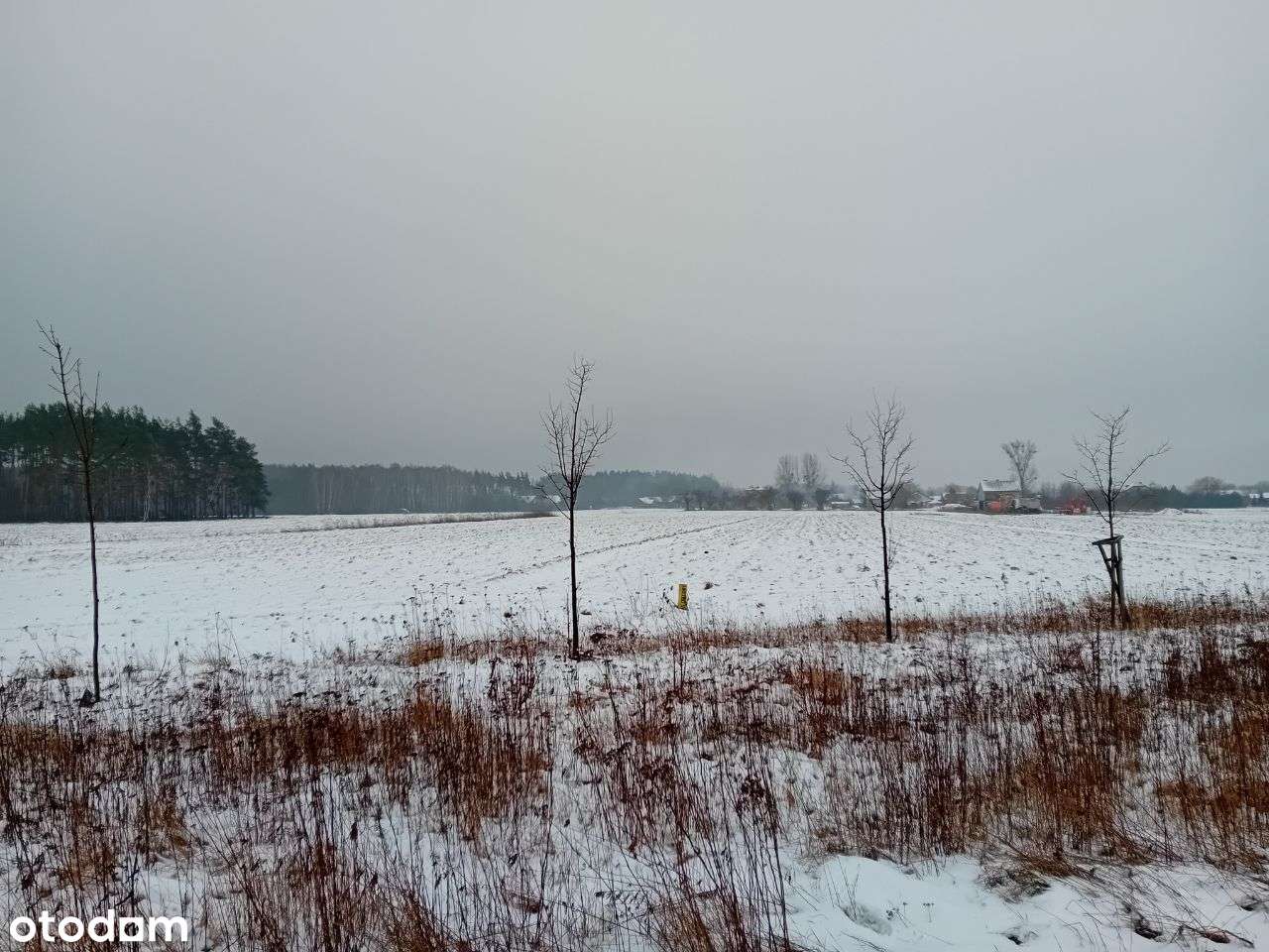 Działka przy drodze krajowej S8 - Pełny obrazek: 4/4