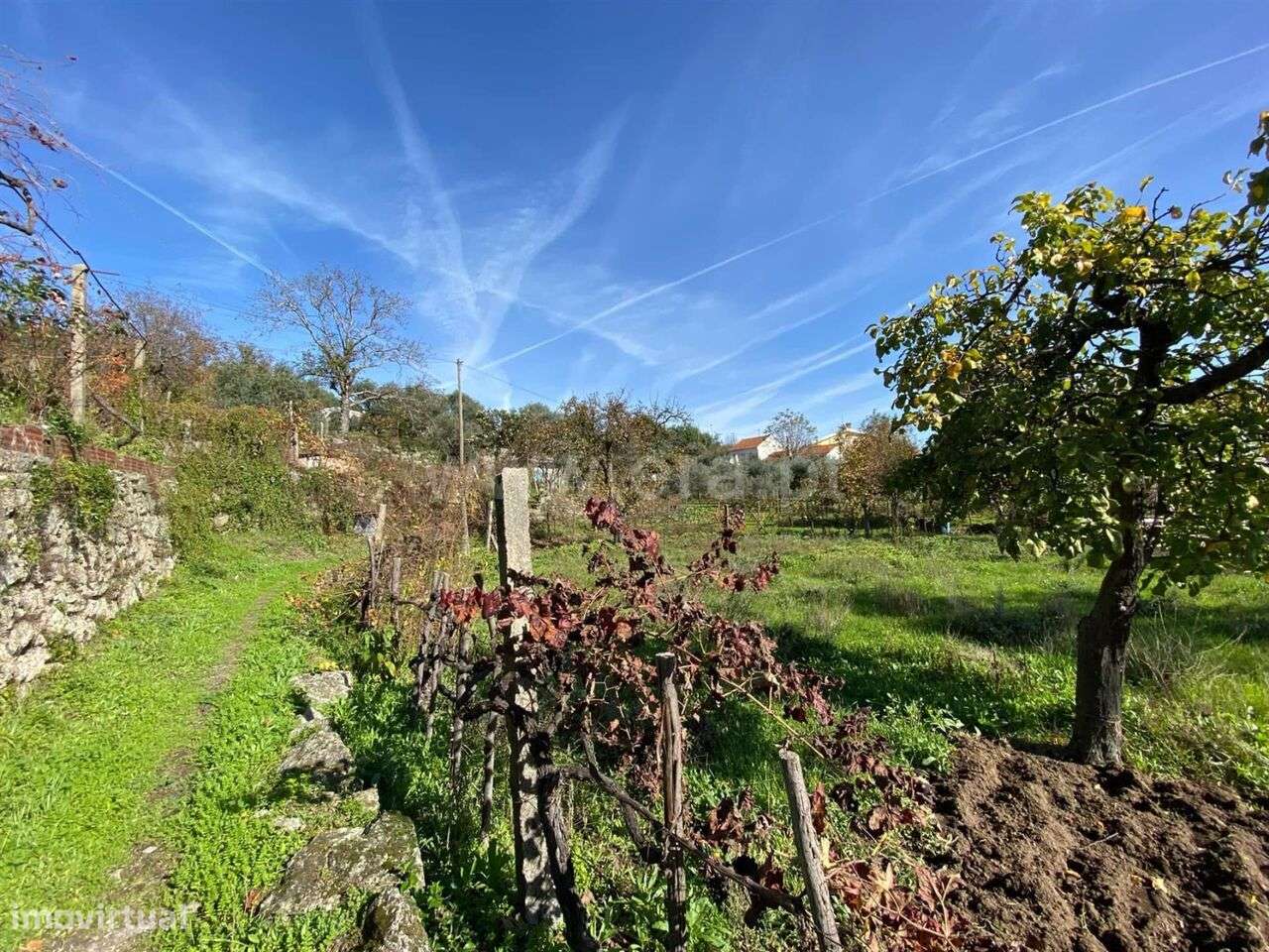 Moradia T2 / Covilhã, Cantar - Galo - Grande imagem: 2/13