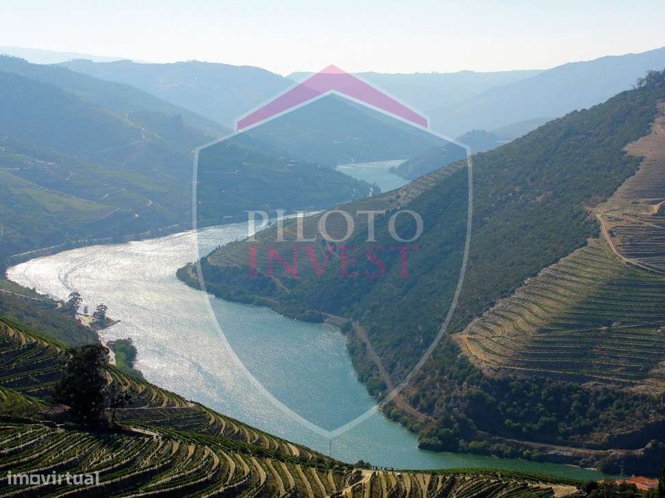 Quintinha  Venda em Valença do Douro,Tabuaço - Grande imagem: 5/11