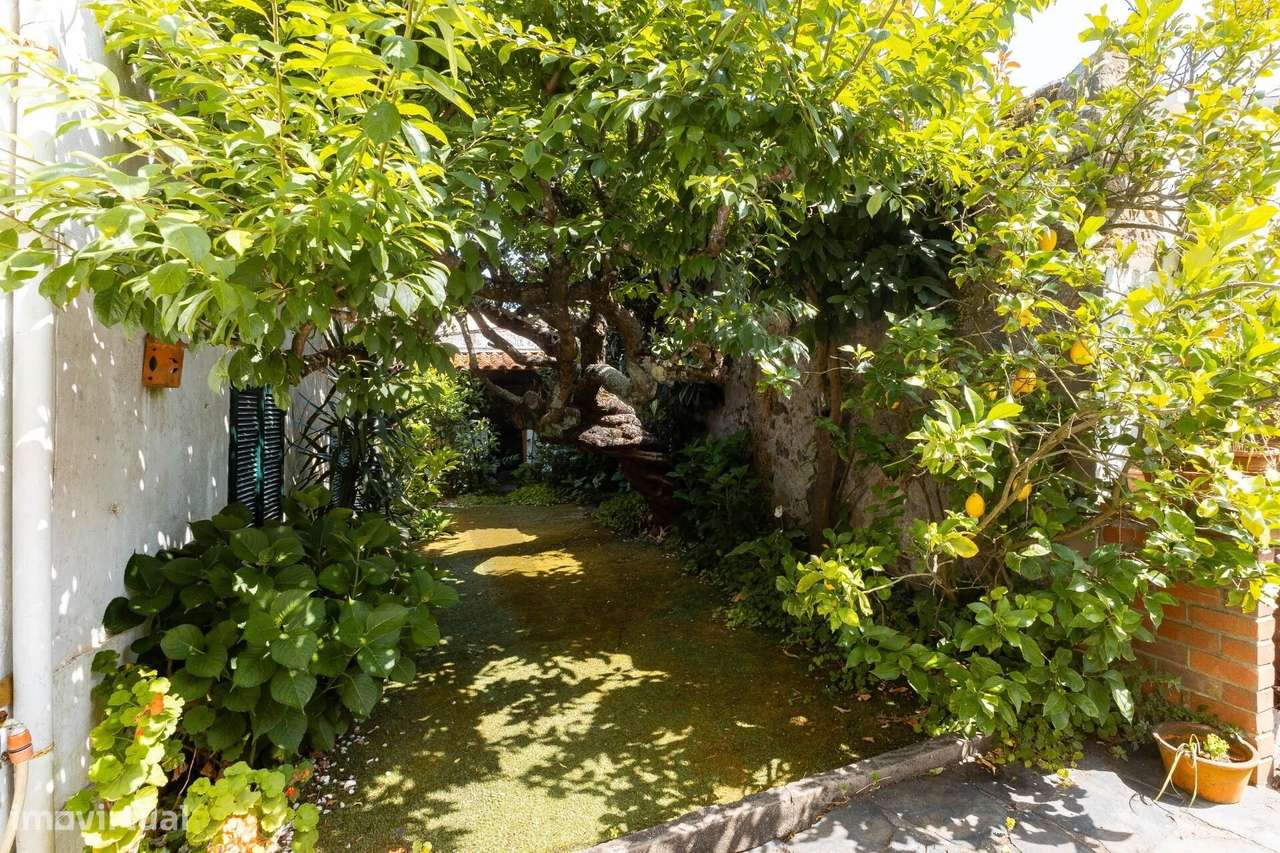 Oportunidade na Foz Velha - Moradia T3 + 1 - Grande imagem: 2/27