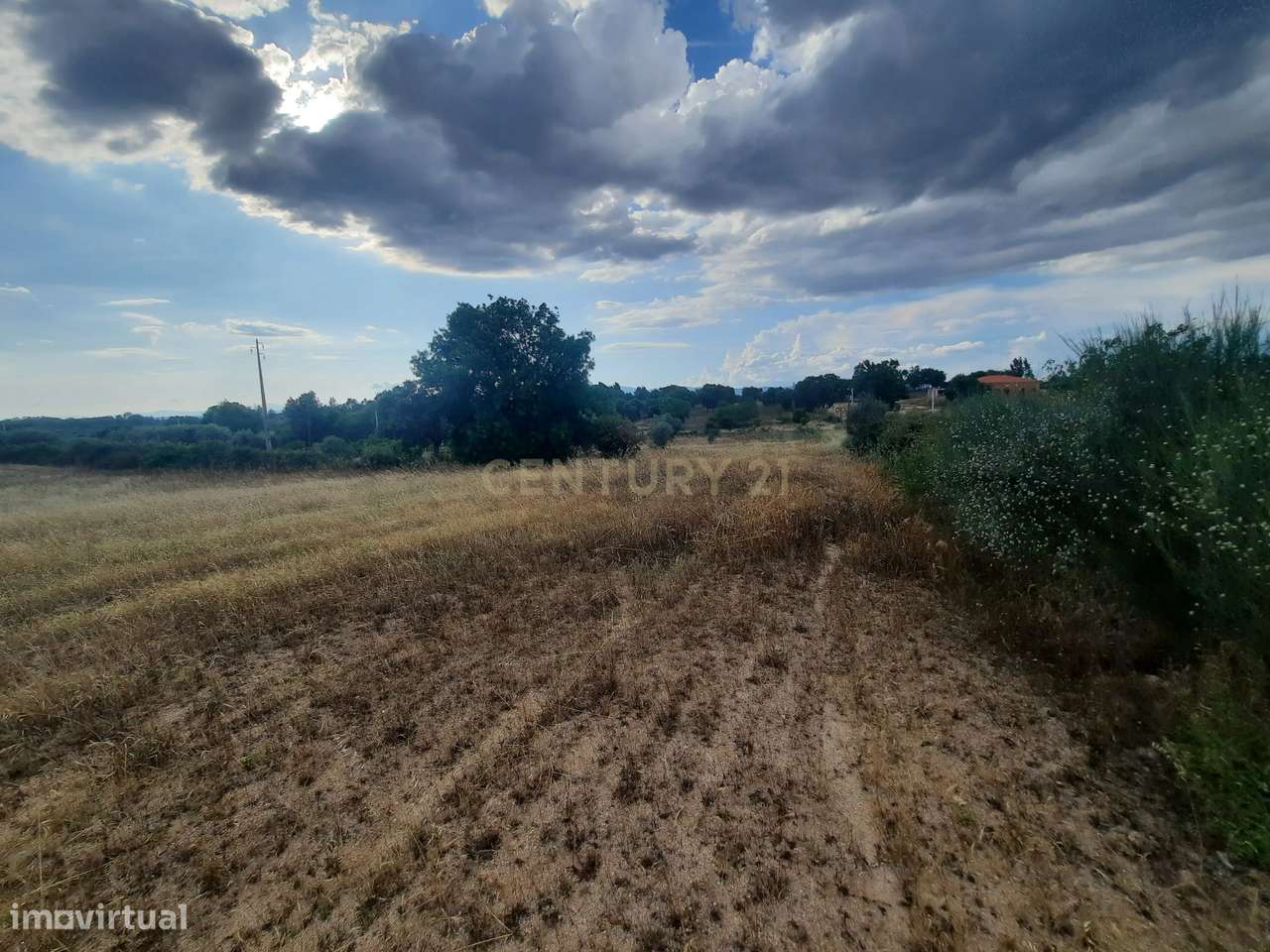 Terreno em São Miguel D Acha - Grande imagem: 4/18