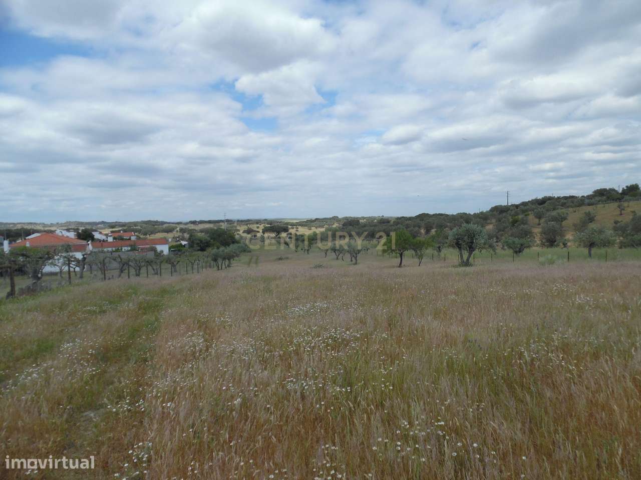 Quinta em Capelins,  Alandroal - Évora,  Oportunidade Única-21
