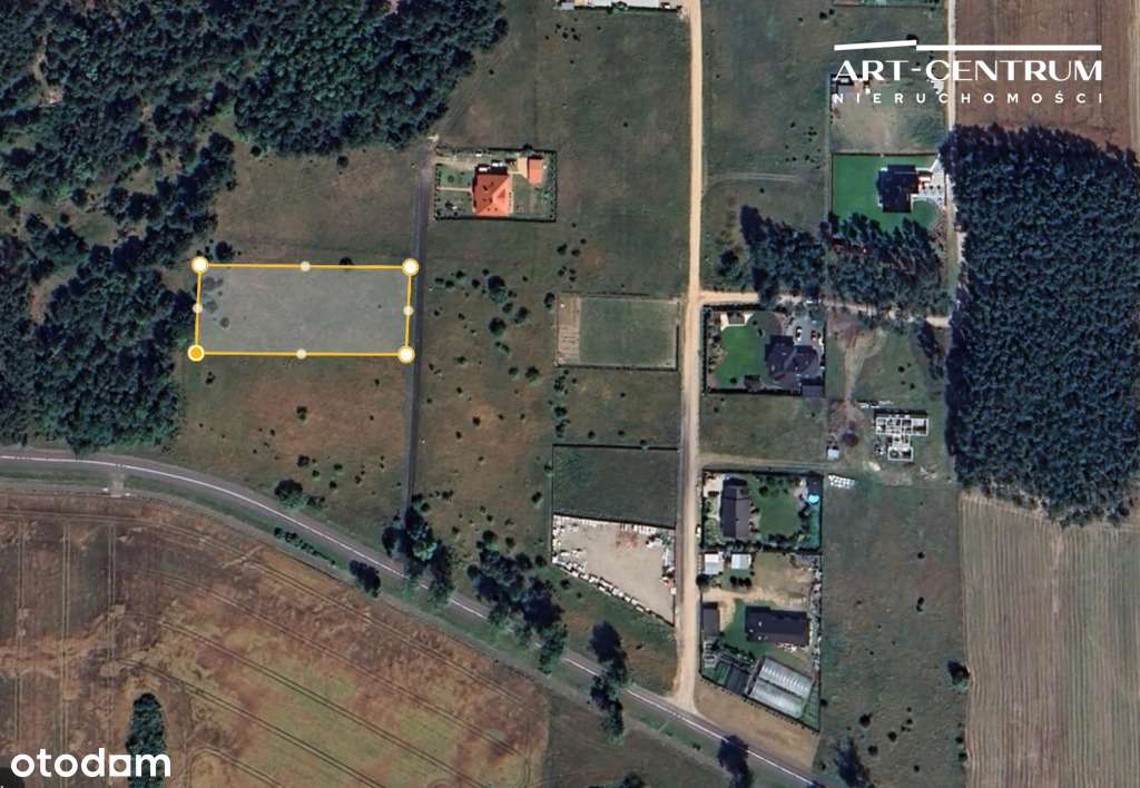 Działka 3061m2 przy Lesie - 10 km od Bydgoszczy - Pełny obrazek: 4/7