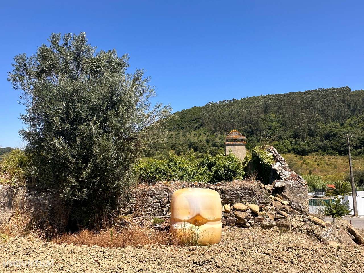 Quinta de 1,8 hectares com 3 edificios para recuperação, em Sobral de - Grande imagem: 4/23