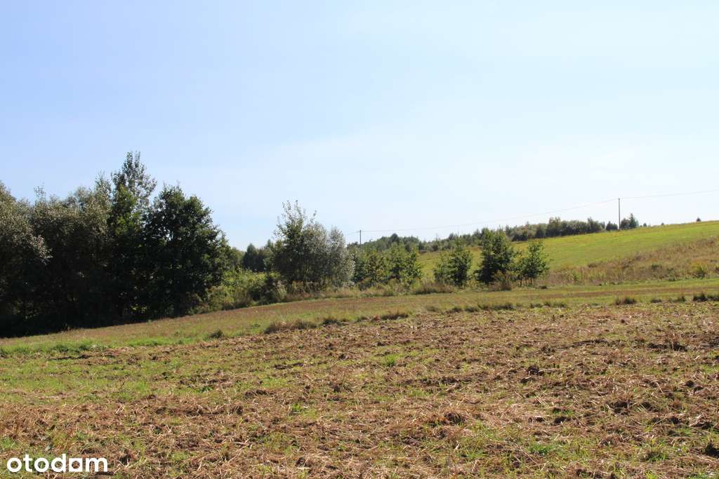Działka budowlano - rolna przy Parku Ojcowskim-13