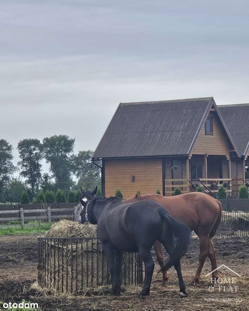Działka Budowlana blisko morza-15