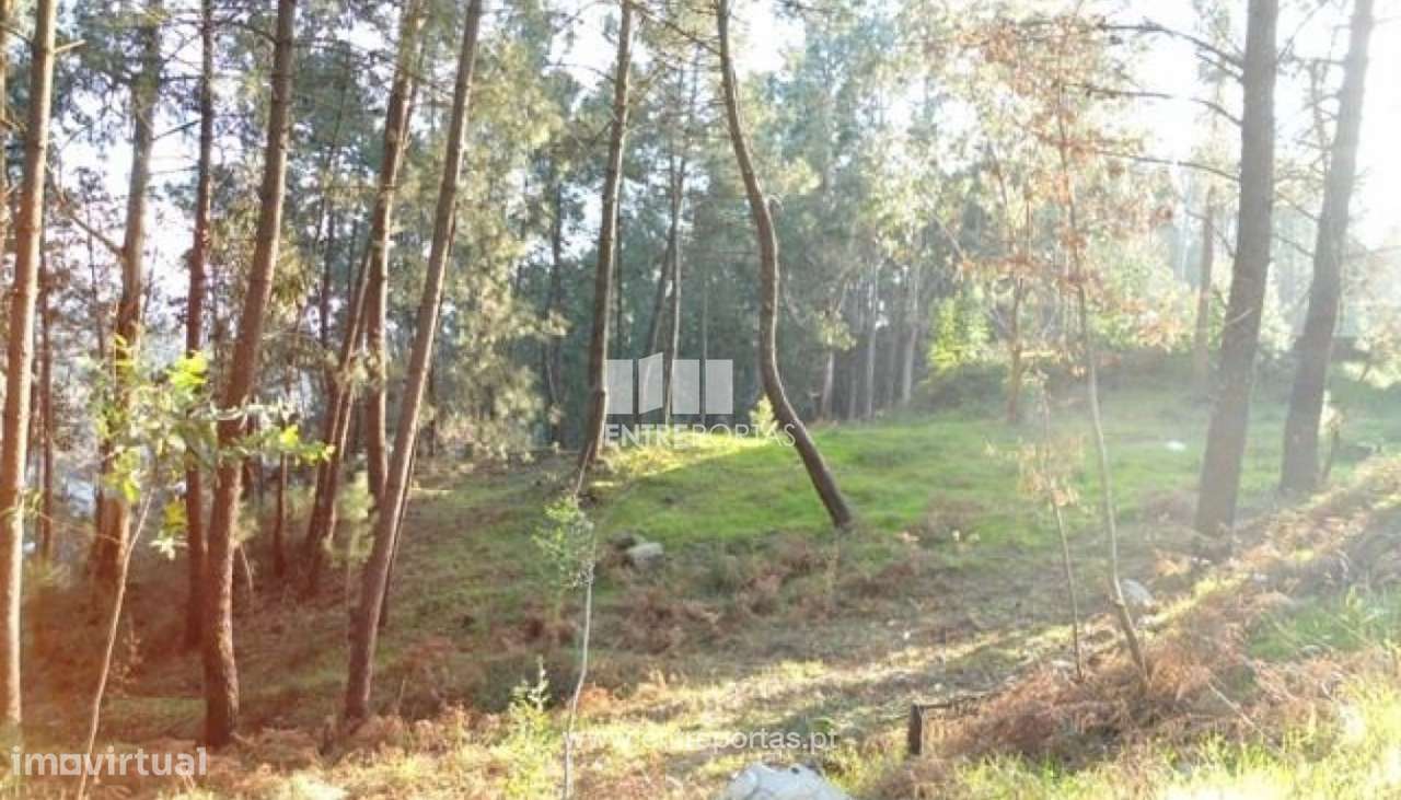 Venda Terreno, Banho e Carvalhosa, Marco de Canaveses - Grande imagem: 5/6