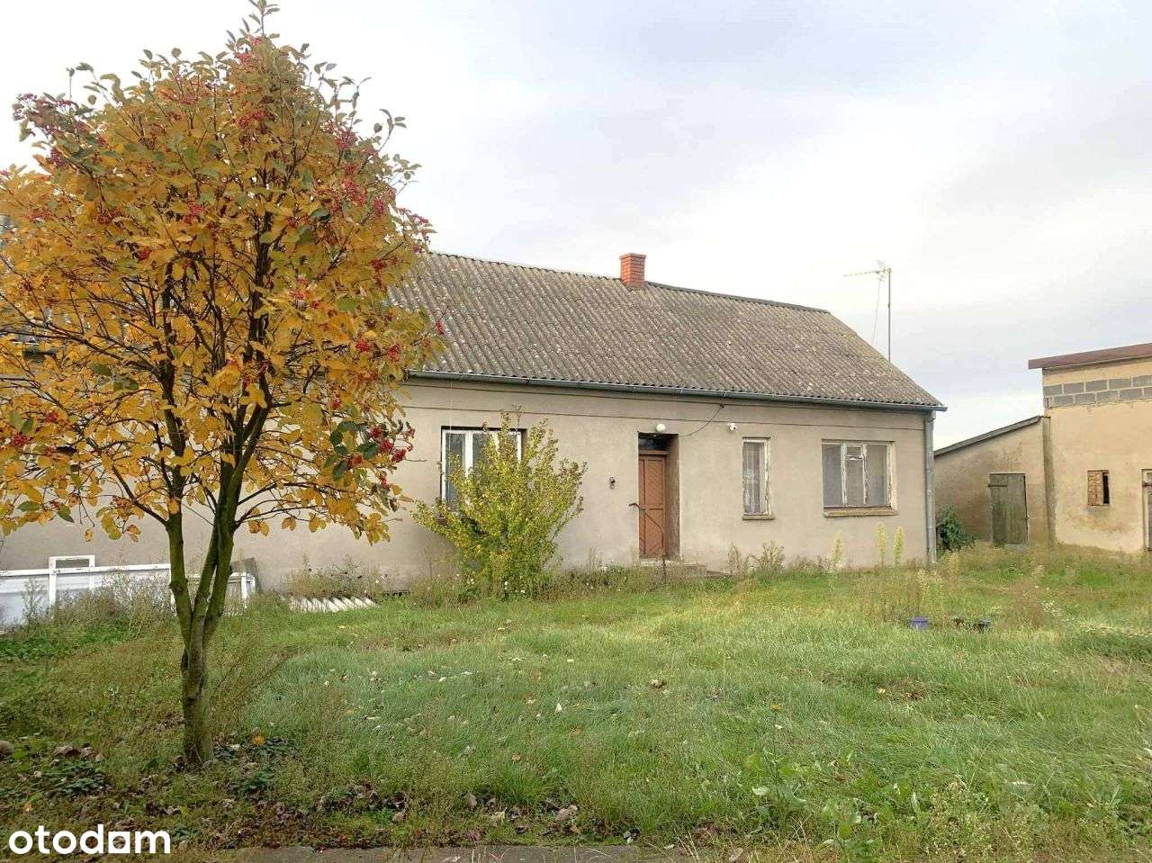 na sprzedaż siedlisko Ladorudz pow Koło-12