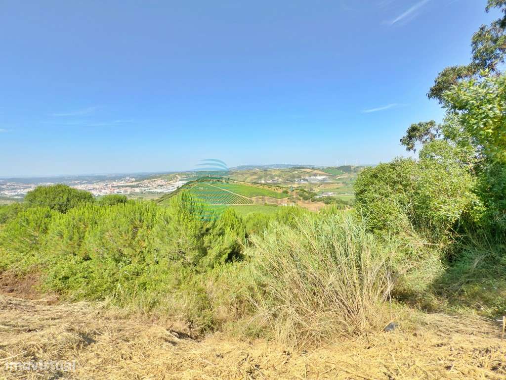 Terreno urbano com a melhor vista sobre a cidade de Torres Vedras-19