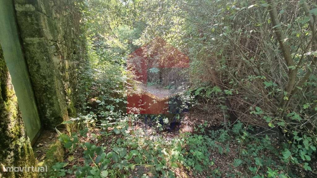 Moinho Paredes de Coura - Grande imagem: 5/14