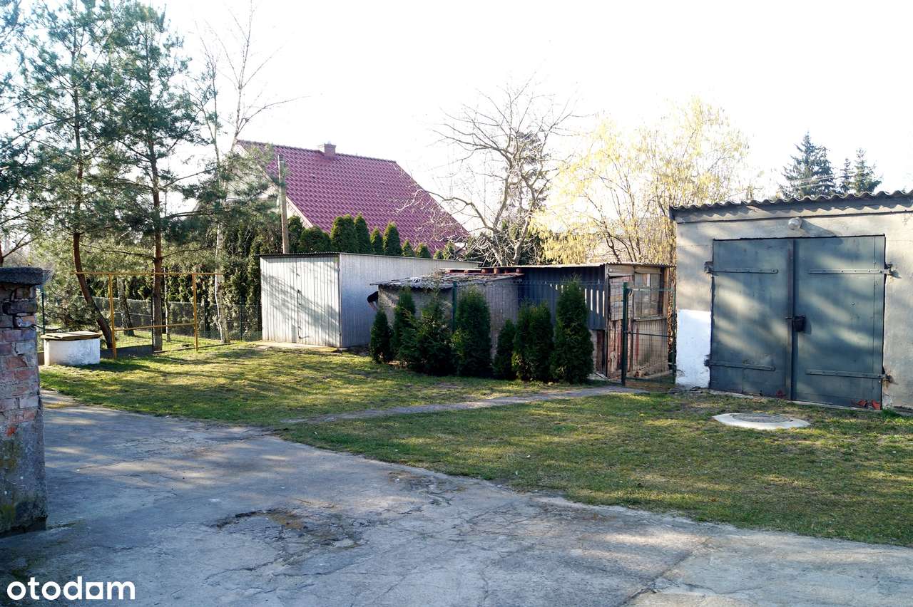 Kamienica/ dom wielopokoleniowy/Chełmce 145m2/działka 1100m2/Kruszwica-2