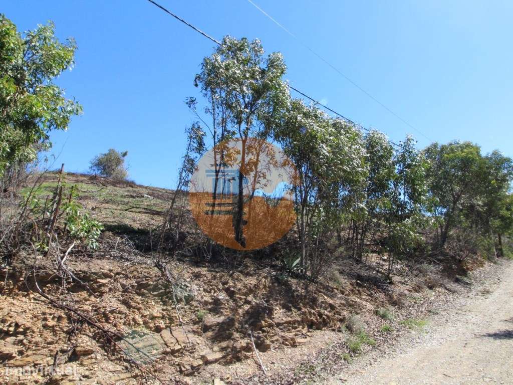 Terreno Misto com ruína zona da Conceição de Tavira, - Grande imagem: 5/22