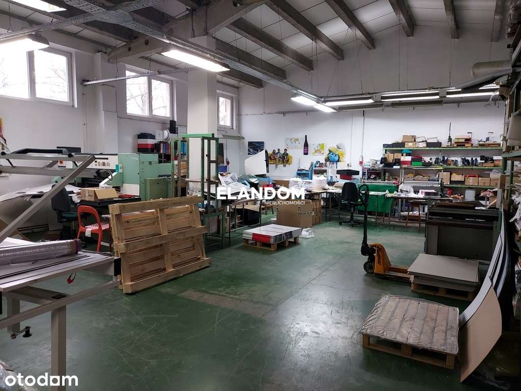 Hala produkcyjna na dużej działce - Pełny obrazek: 3/7