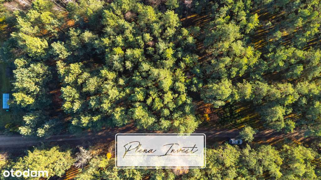 Piękny las | prywatność | plan zagospodarowania-2