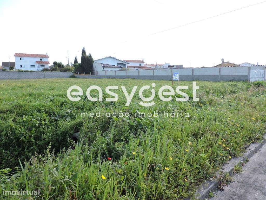 Terreno Vieira de Leiria - Grande imagem: 5/6