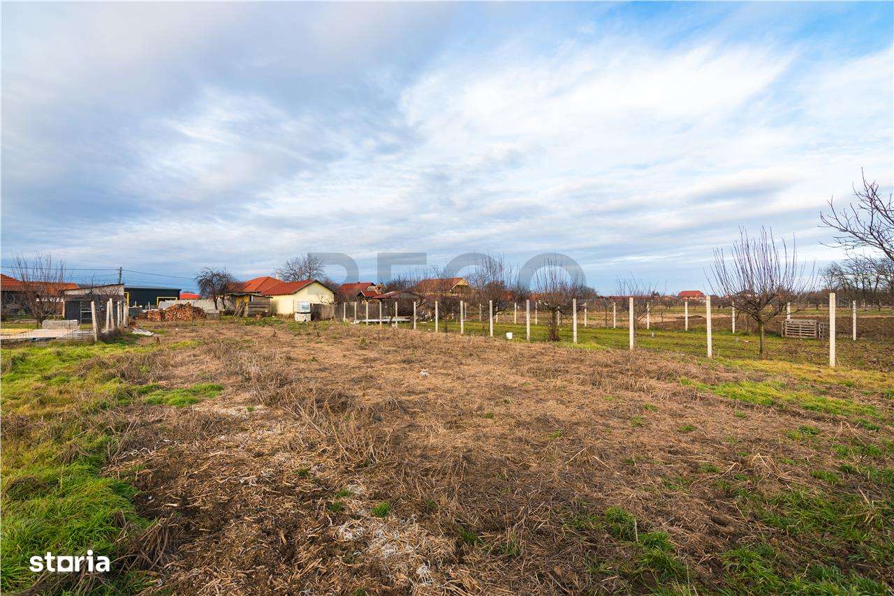 Teren intravilan cu toate utilitatile in Bors - Imagine principală: 3/14