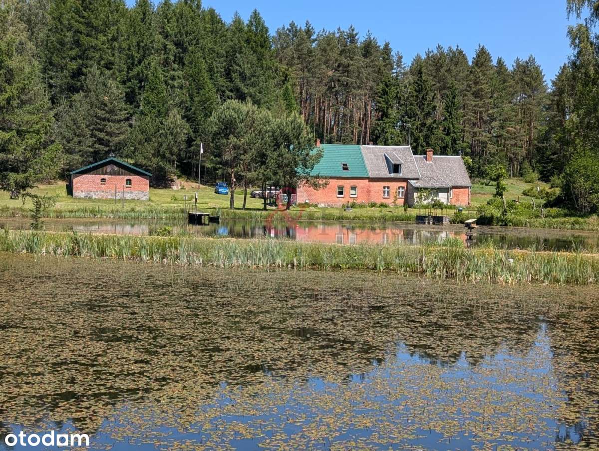 Raj dla duszy -  slow life Bory Tucholskie - Pełny obrazek: 5/20