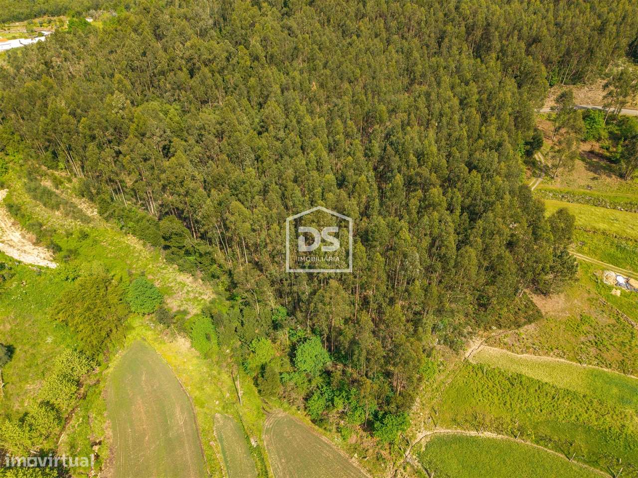 Terreno  Venda em Duas Igrejas,Penafiel-6
