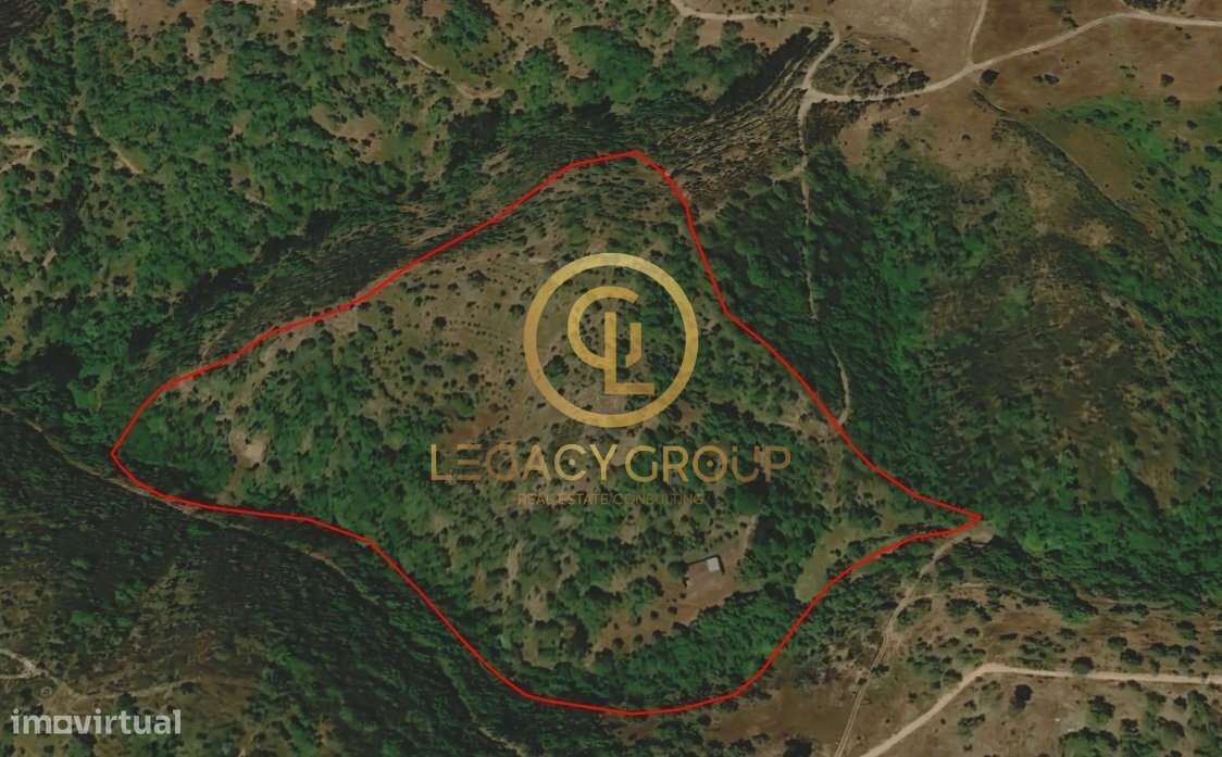 Quinta de 6 hectares perto de São Martinho das Amoreiras-25