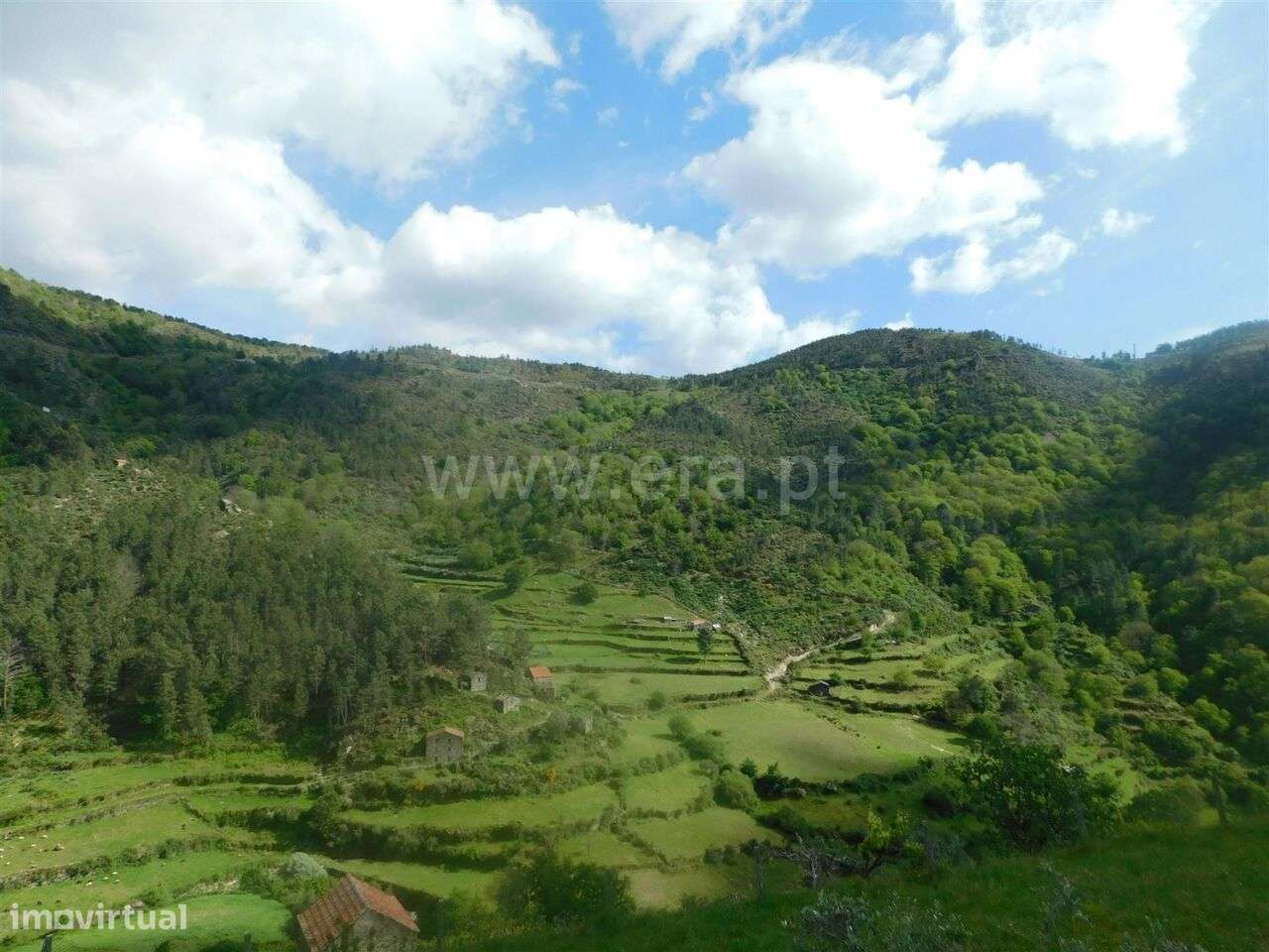 Quinta / Seia, Loriga - Grande imagem: 2/20