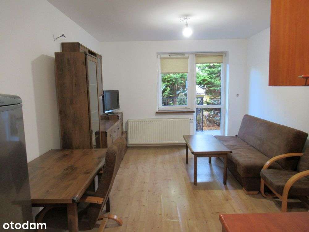 Intymny ogródek na wysokiej skarpie. niskie opłaty. parking, bez prow - Pełny obrazek: 5/13