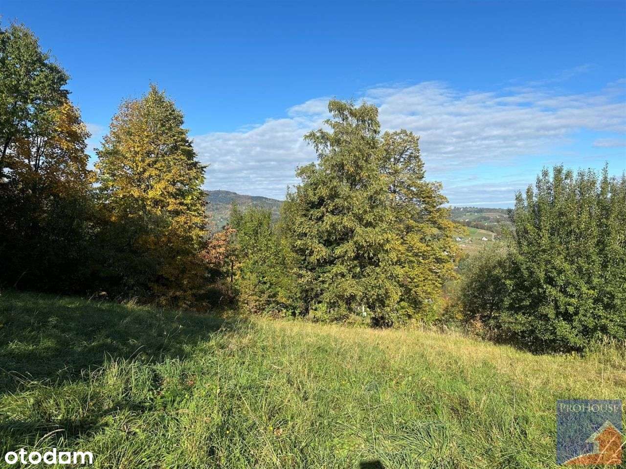 Działka, 1 244 m², Laskowa-16