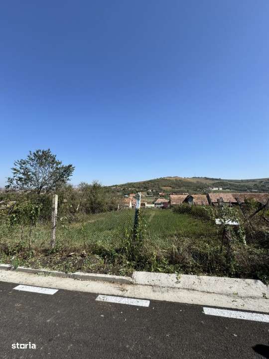 Teren intravilan de vanzare | 1352 mp | Comuna Pauca - Imagine principală: 3/8