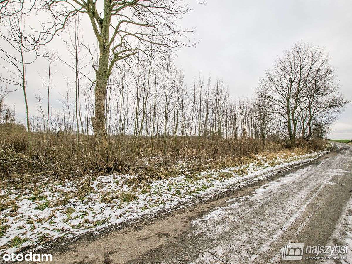 Golczewo Ziemia Rolna 0,30 ha - Pełny obrazek: 3/13