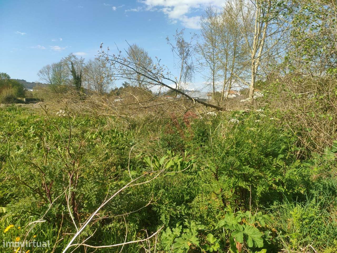 Terrenos Rústicos com 13.759 m² em Nevogilde, Lousada - Grande imagem: 4/8