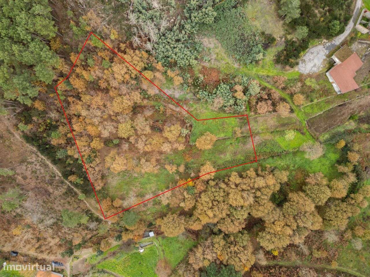 Terreno - Regada Velha, - Grande imagem: 4/33