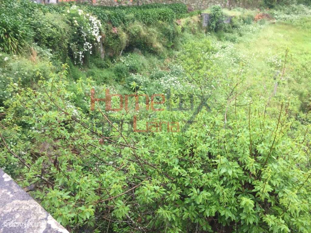 Terreno para construção em Palmaz - Grande imagem: 4/12