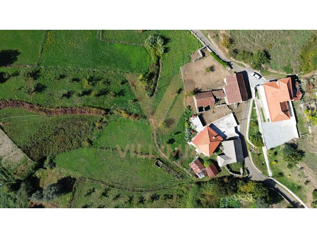 Propriedade com Duas Casas Antigas em Pedra para Restauro - Padreir... - Grande imagem: 4/31